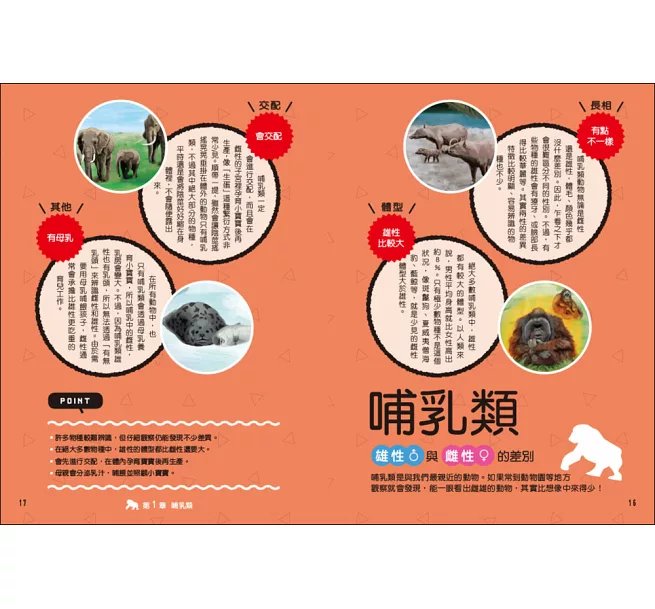 令人大開眼界的雌雄圖鑑 ：從外表到行為都大不相同！求偶奇招X育兒分工X趣味演化，69種動物的性別差異大爆料-preview-3
