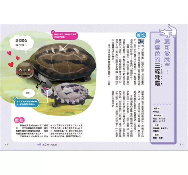 令人大開眼界的雌雄圖鑑 ：從外表到行為都大不相同！求偶奇招X育兒分工X趣味演化，69種動物的性別差異大爆料-preview-5