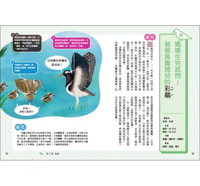 令人大開眼界的雌雄圖鑑 ：從外表到行為都大不相同！求偶奇招X育兒分工X趣味演化，69種動物的性別差異大爆料-preview-7