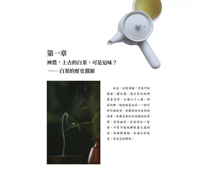 白茶入盞:風土氣息×製茶工序×沖泡層次,清湯之中展開層層遞進的風味脈絡-preview-2