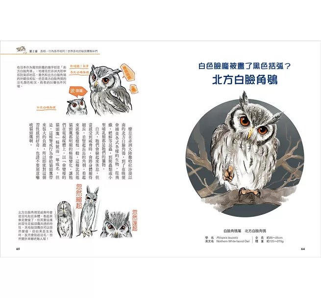 令人大開眼界的動物圖鑑【套書】 ：從天空、海洋、極地到森林，和孩子一起探索趣味動物世界！-preview-3
