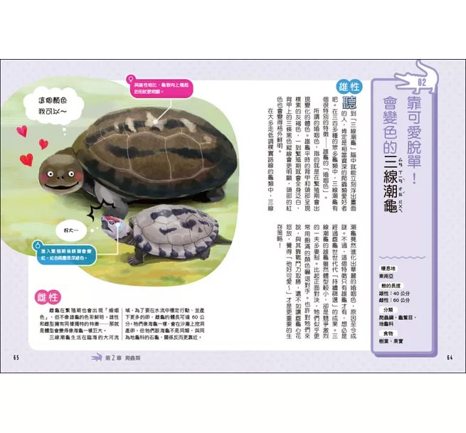 令人大開眼界的動物圖鑑【套書】 ：從天空、海洋、極地到森林，和孩子一起探索趣味動物世界！-preview-13