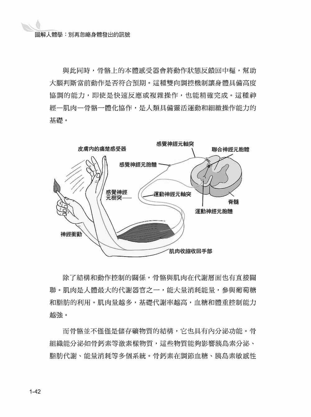 圖解人體學：別再忽略身體發出的訊號-preview-4