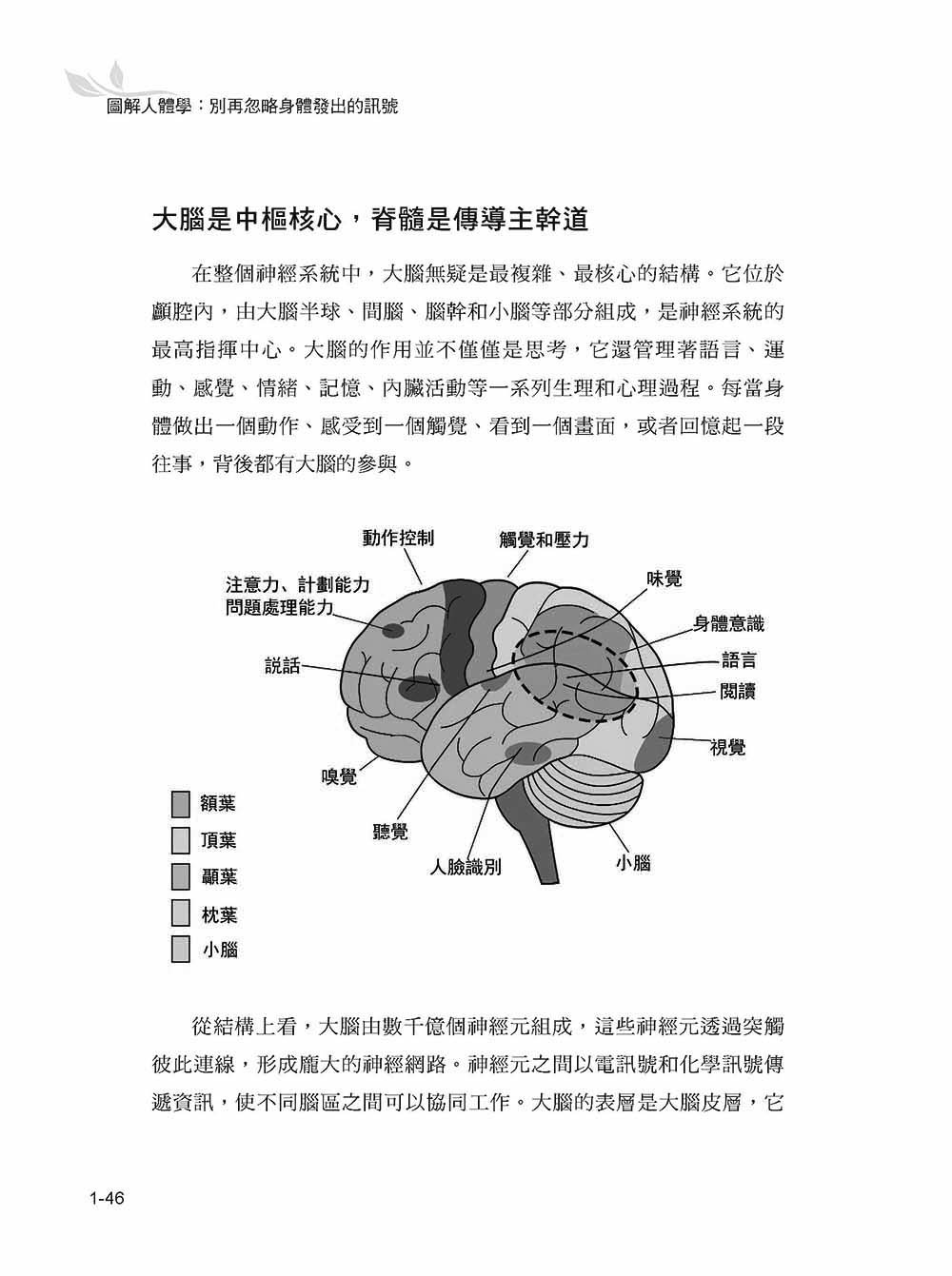 圖解人體學：別再忽略身體發出的訊號-preview-5