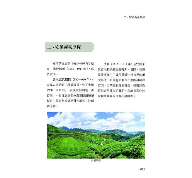 烏龍茶,原來如此:從大紅袍到東方美人,快速掌握烏龍茶的風味世界-preview-5