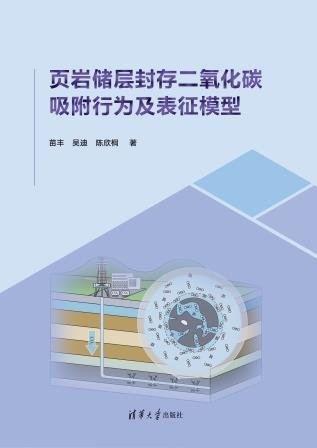 頁巖儲層封存二氧化碳吸附行為及表征模型-preview-1
