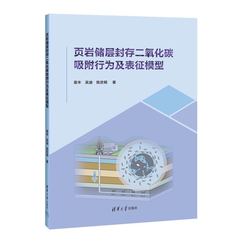 頁巖儲層封存二氧化碳吸附行為及表征模型-preview-3