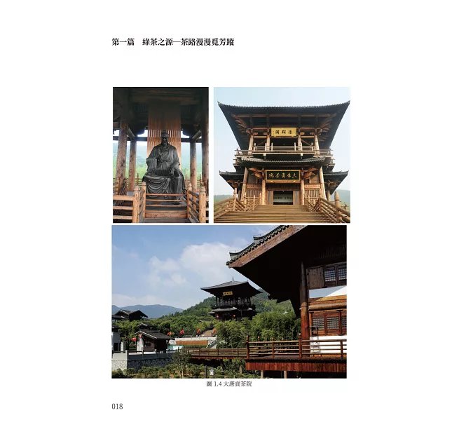 綠茶,懂喝從這一杯開始:茶葉分類×名茶巡禮×文化欣賞,以生活化的角度,讀懂綠茶的知識與趣味-preview-7
