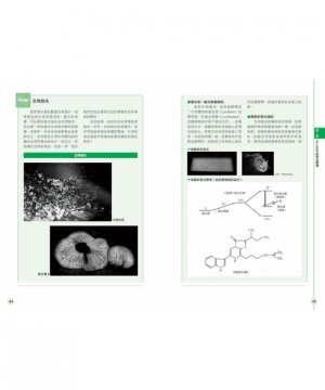 圖解面板技術:從液晶、OLED、量子點技術掌握產業趨勢-preview-10