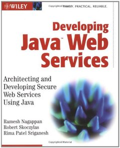 Developing Java Web Services: Architecting and Developing Secure Web Services Using Java-cover