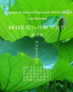 Diagnosis and Analysis Reports on SEO Strategies (Chinese Edition)-cover