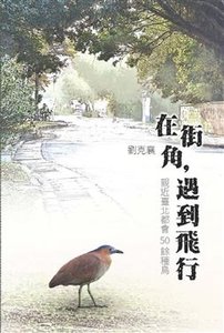 在街角，遇到飛行-cover