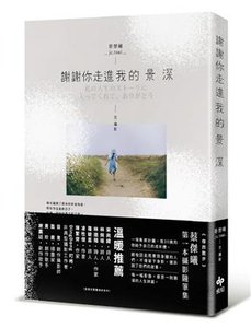 謝謝你走進我的景深-cover