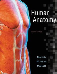 Human Anatomy (8th Edition)-cover