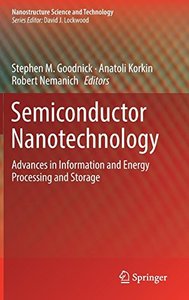 Semiconductor Nanotechnology: Advances in Information and Energy Processing and Storage (Nanostructure Science and Technology)-cover