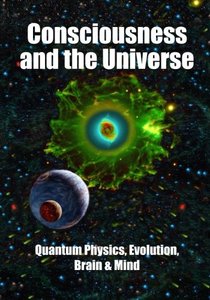 Consciousness and the Universe:  Quantum Physics, Evolution,  Brain &amp; Mind-cover