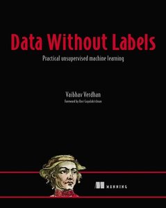 Data Without Labels: Practical Unsupervised Machine Learning (Paperback)-cover