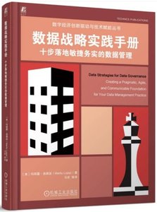 數據戰略實踐手冊：十步落地敏捷務實的數據管理