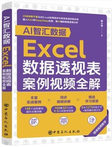 AI智匯數據：Excel數據透視表案例視頻全解-cover