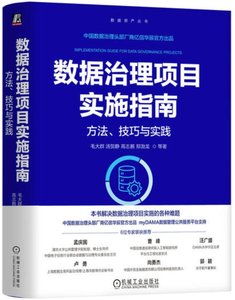 數據治理項目實施指南：方法、技巧與實踐-cover