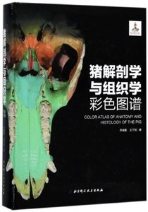 豬解剖學與組織學彩色圖譜(精)-cover