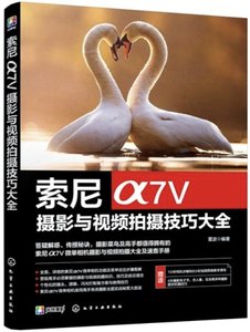 索尼α7Ⅴ攝影與視頻拍攝技巧大全-cover