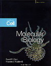 Molecular Biology: Academic Cell 2/e-cover
