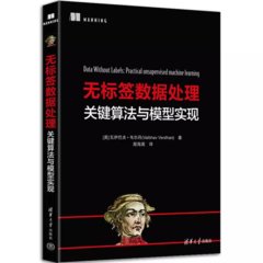 無標簽數據處理:關鍵算法與模型實現