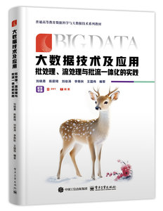 大數據技術及應用——批處理、流處理與批流一體化的實踐-cover
